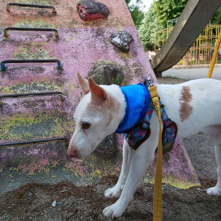 15d12e4c 6cc8 410b 8390 1386699d26df 1564788367820