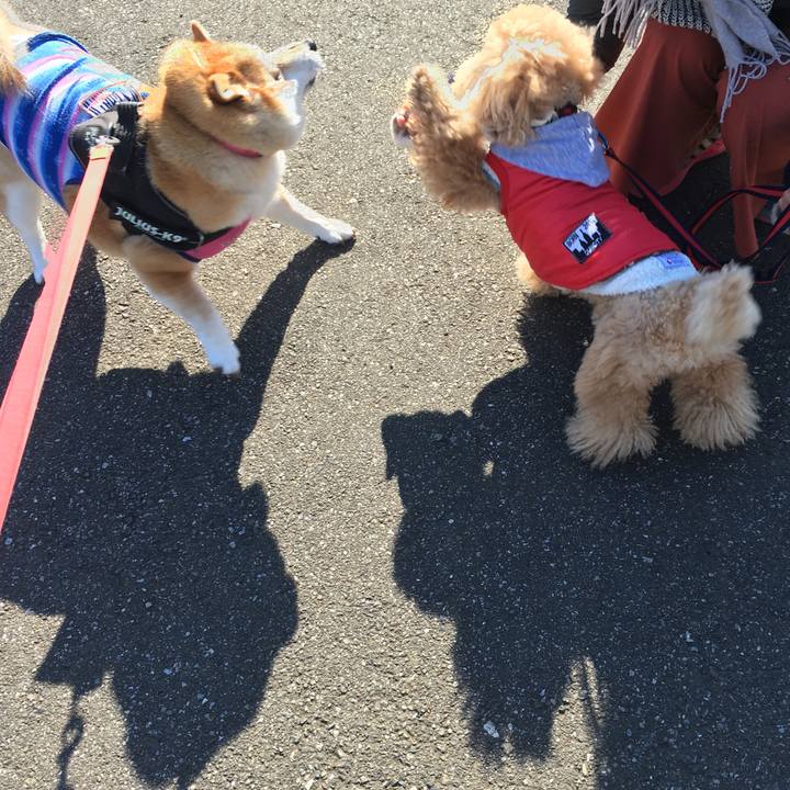 15d161d6 a3d3 4e05 a112 da1c94175d68 1612057512155