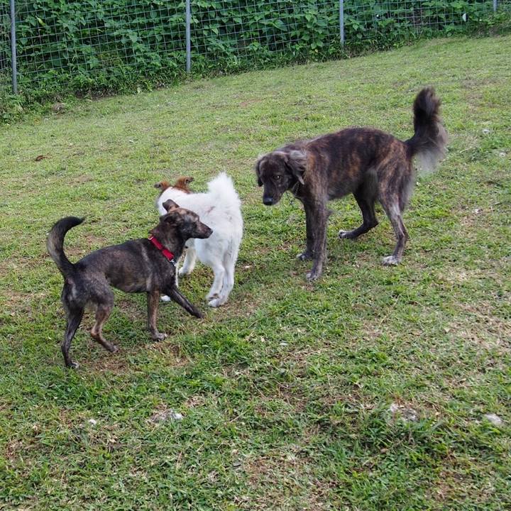 15d16b0c 62a1 4534 8e9b 7492c2adfc5c 1541760852802