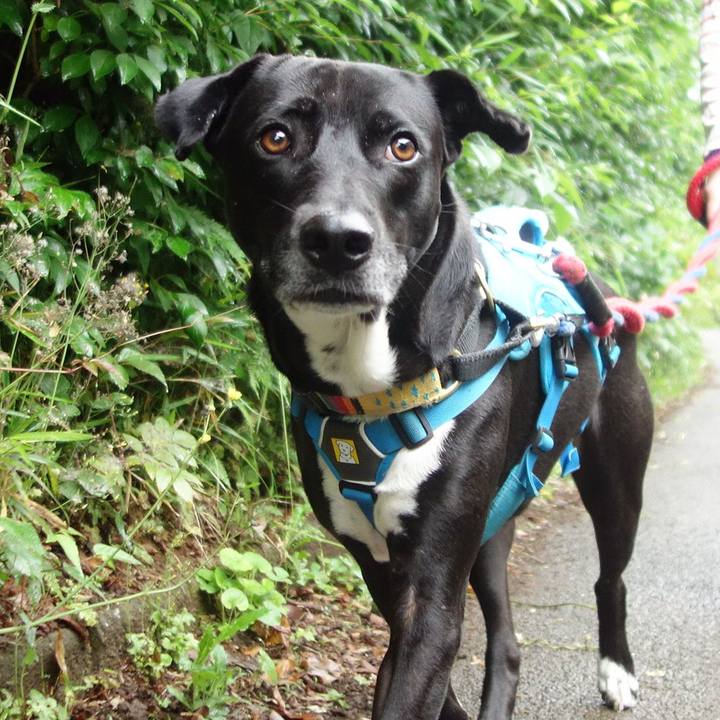 15d17e80 eeae 433b b6a9 09a8014242c1 1621557242582