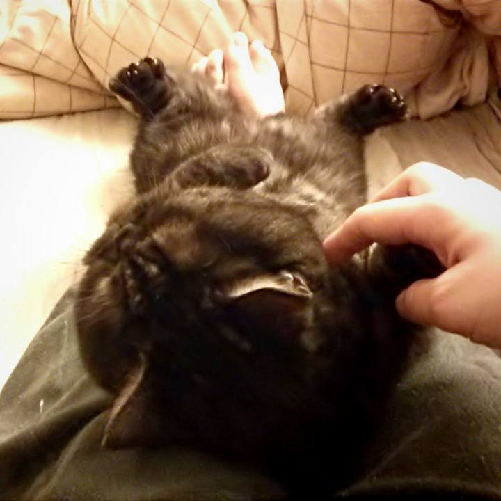 15d19c5e 0b31 4c09 8c91 90cb0e8e2aae 1512292186709