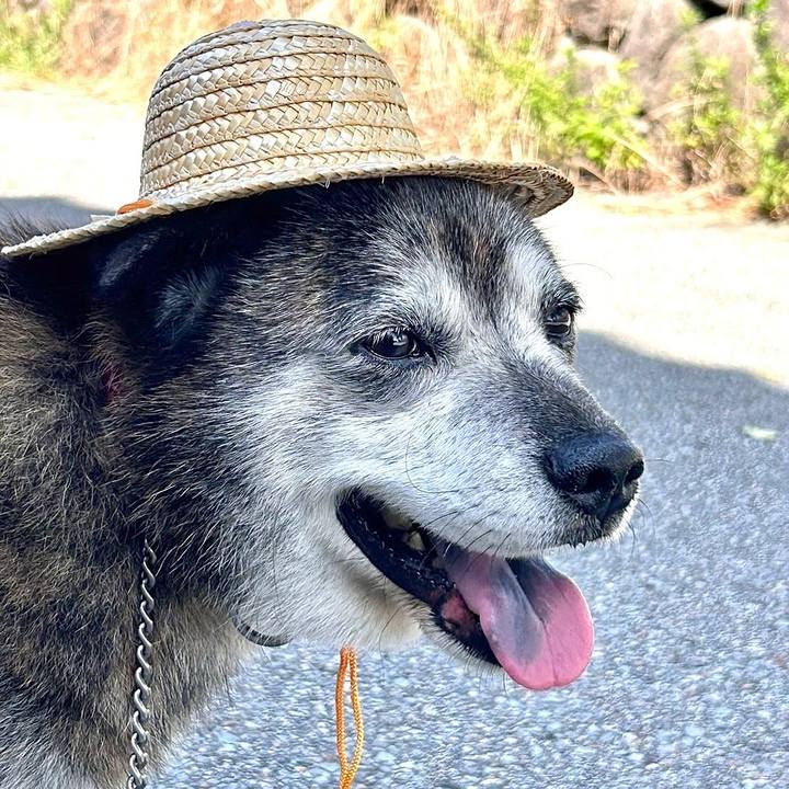 15d1f5aa 6930 4cc2 bff0 40e56aa7f57a 1755312732291