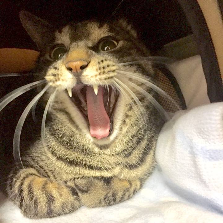 15d1fc07 51d6 461e 8caa 7ab457ea45ac 1512286859830