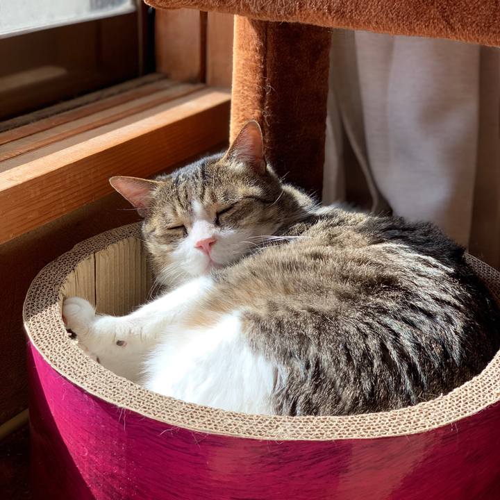 15d228ef 2842 49c0 ae2c b0d20d7a501a 1646009534322