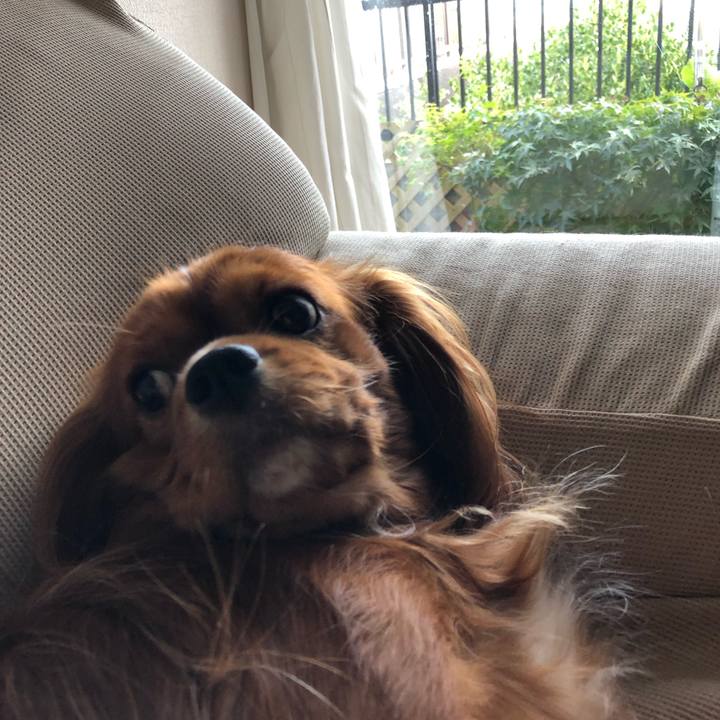 15d22b9e af52 4a39 b3d2 18644f1b19b1 1565619910235