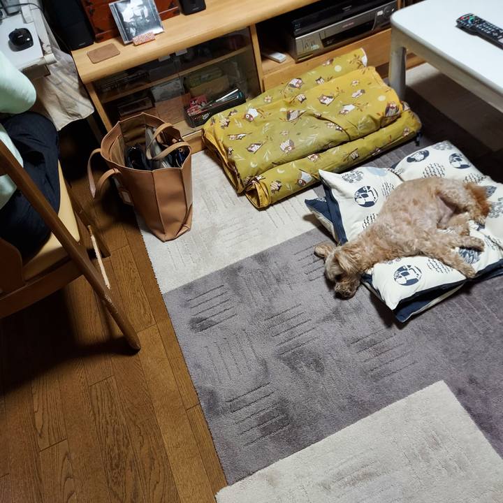 15d26479 5852 4688 84e3 410e8b20e678 1621313939644