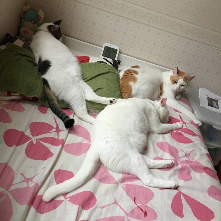 15d292fb 50d6 499b 87db 4e897ff28e4f 1527714890091