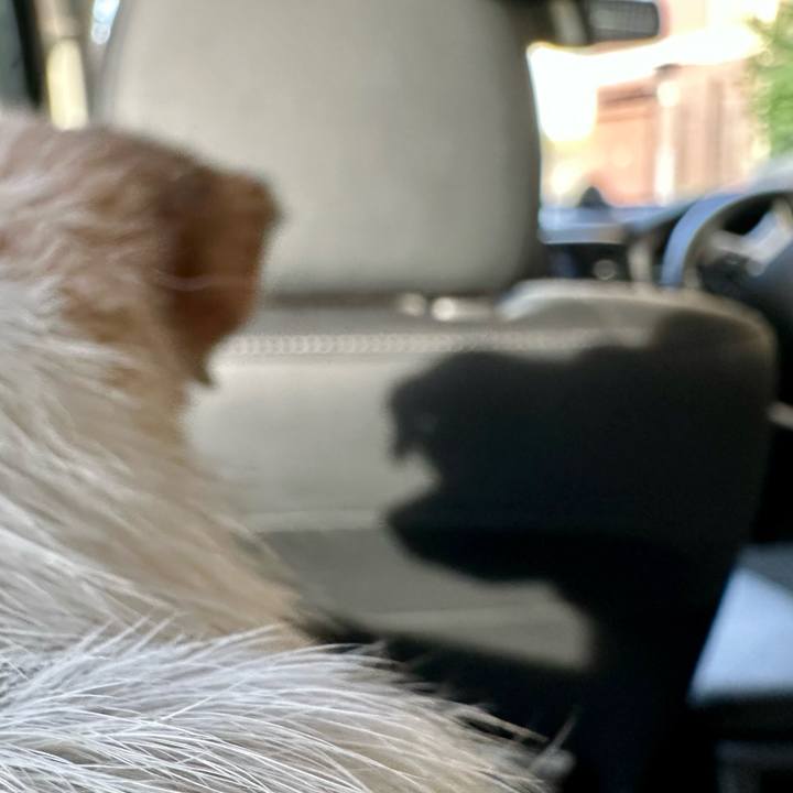 15d309f1 bfe2 4aa1 a6f5 ce4c78f43a37 1750500003236