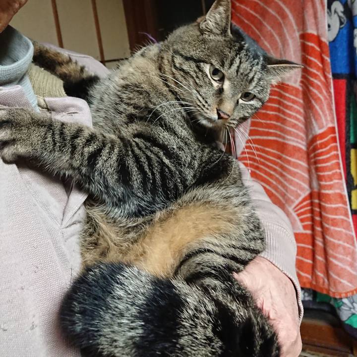 15d321fa a5ce 4bf6 820c e8d2093d5c4f 1644411723631