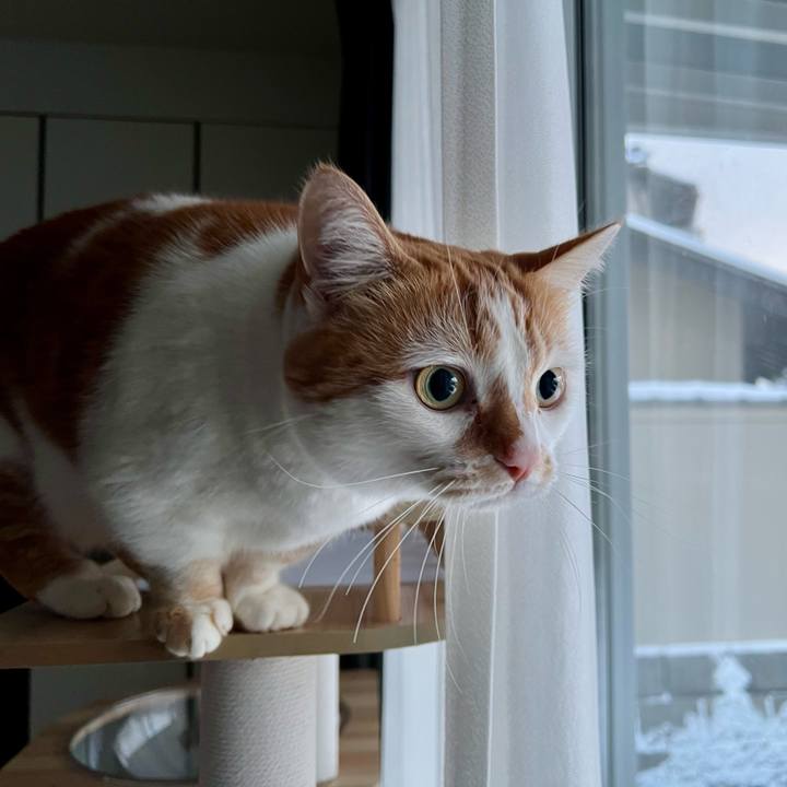 15d33be8 d48d 4629 8b39 fbd3af484395 1769310851342