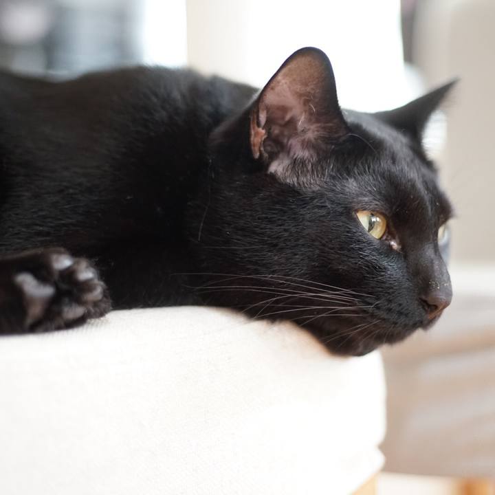 15d367a2 b5b1 4ecd 9945 ef135c414f19 1526340599693