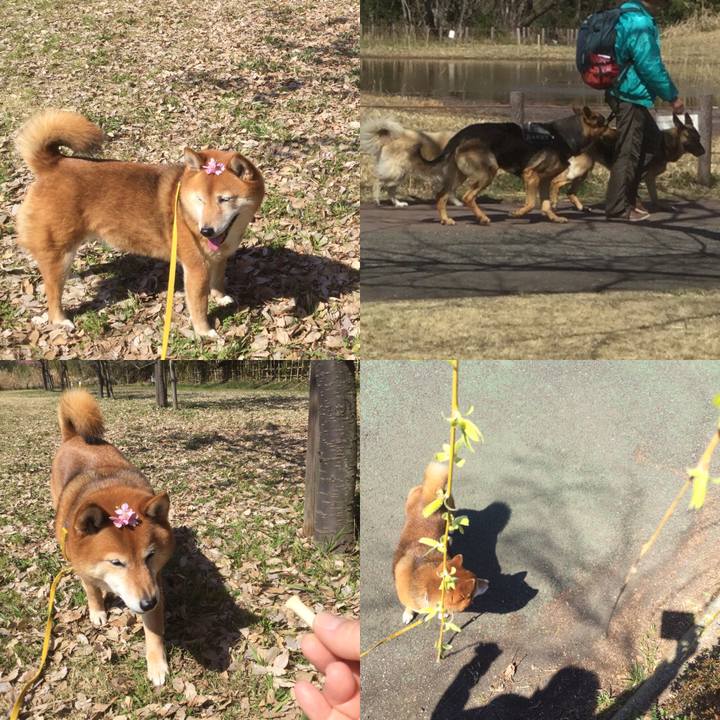 15d36966 10e6 4c26 a943 352f6b933b78 1552546617520