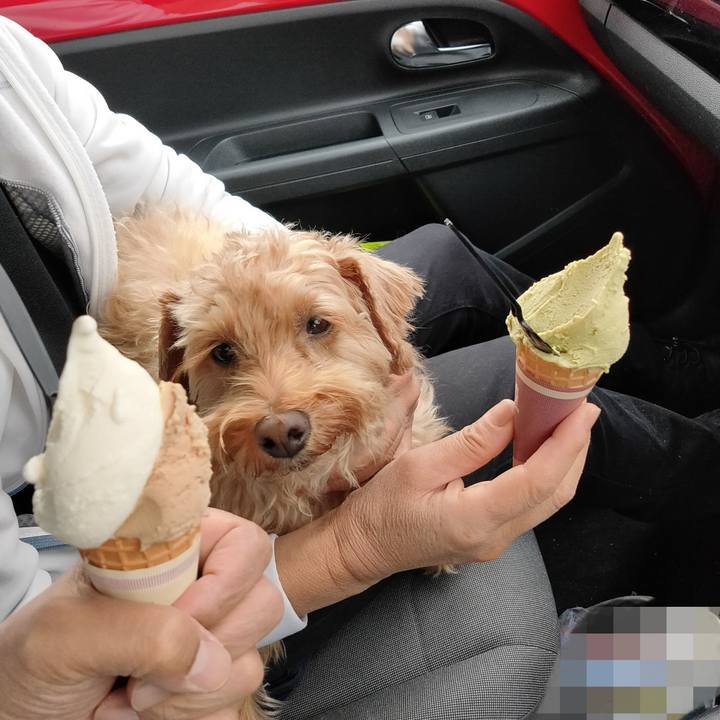 15d38eca 6412 4ab5 b651 05b514c02360 1603715554755