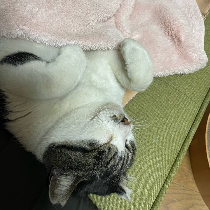 15d3a174 549c 42a9 b313 6e3ce76a0af3 1672918680481