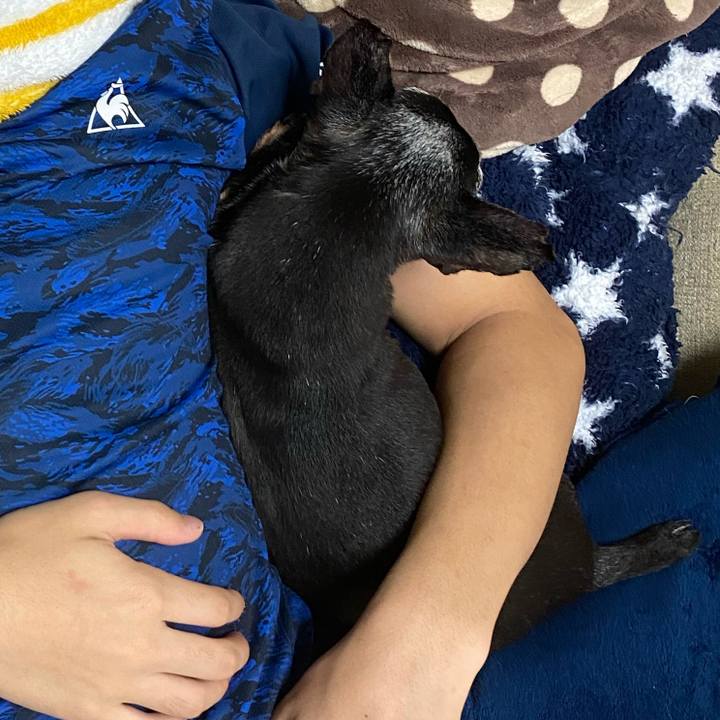 15d3c170 9a4b 4f47 8249 a7fe45efb027 1589632576840