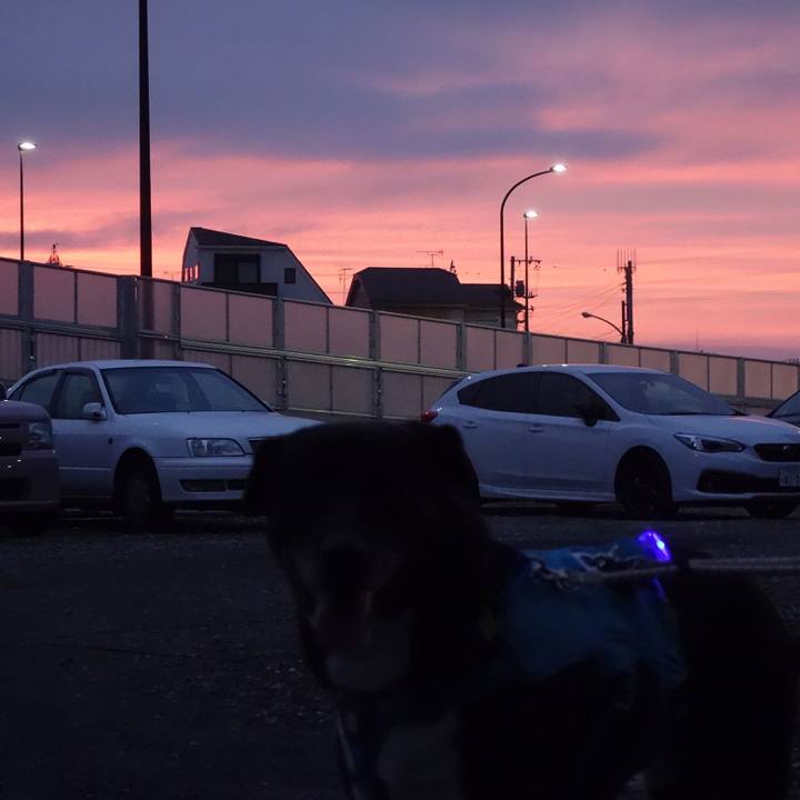 15d3cc91 7ccf 4c4f 83f7 fa373a06d68e 1686309087560