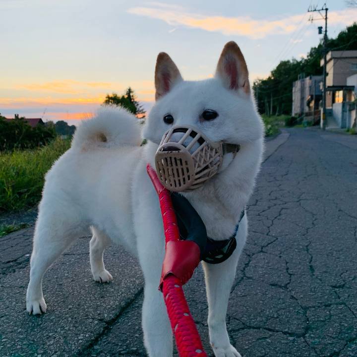 15d3df5b 83da 4c78 adda d11f4d817057 1662670481340