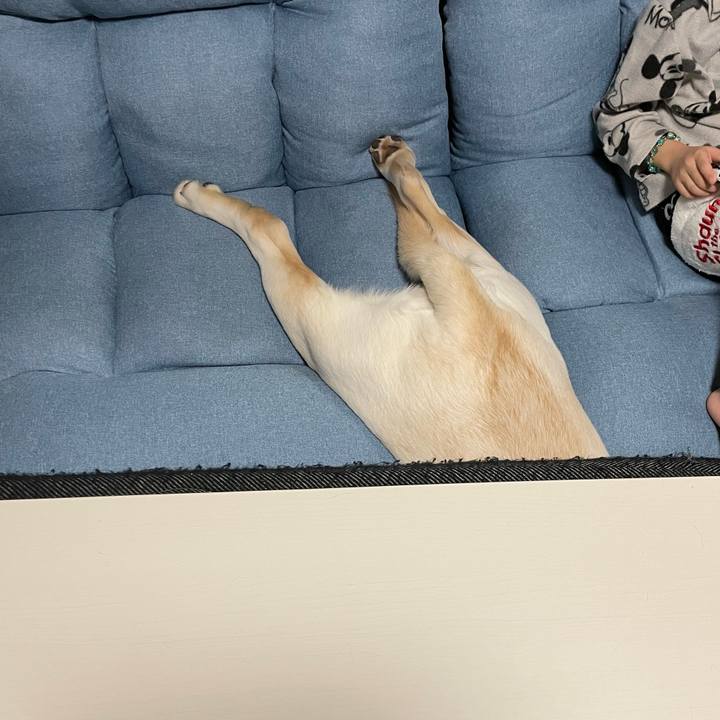 15d46715 08f4 4b3f bf90 5545045f3bad 1643723602025