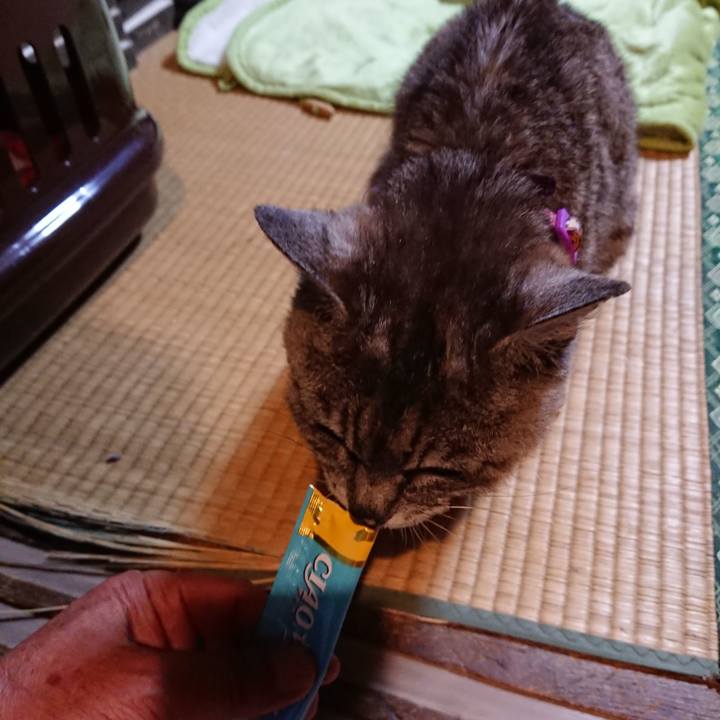 15d48af2 f59e 42b5 860f d41dc1dbee71 1598875054895