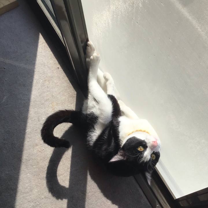 15d4b55f cd52 4c1e 9070 ec9386ae02ab 1649292901176