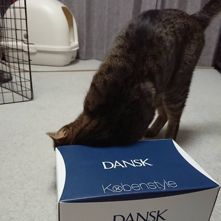 15d4ed45 e931 4399 b661 9d87c1d2149e 1554509918956