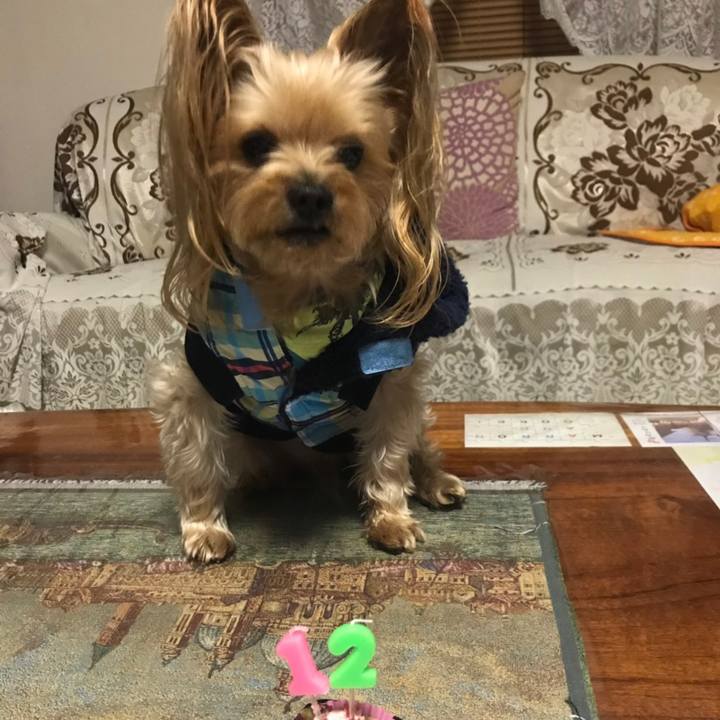 15d4fa64 e0b3 4e0f 8ba1 37acbe6cbcc2 1576055149794