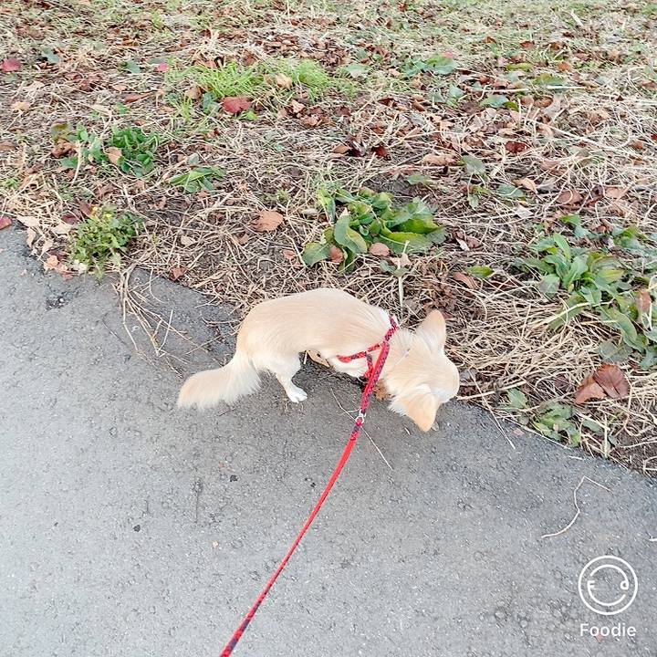 15d50d3f 9c6d 462b 8e96 e2b235e79481 1608020099402