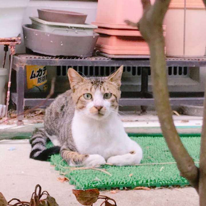 15d5170f 5322 4607 adf5 37db2c4e8e3e 1534145650545