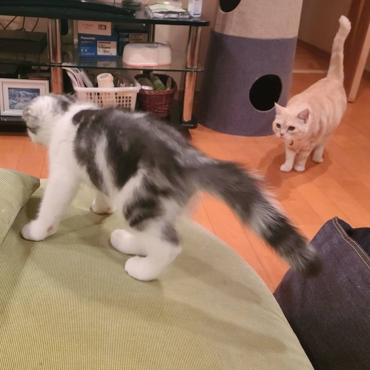 15d55901 304e 4c1d 9cec 1cdbafddb02b 1626166927937