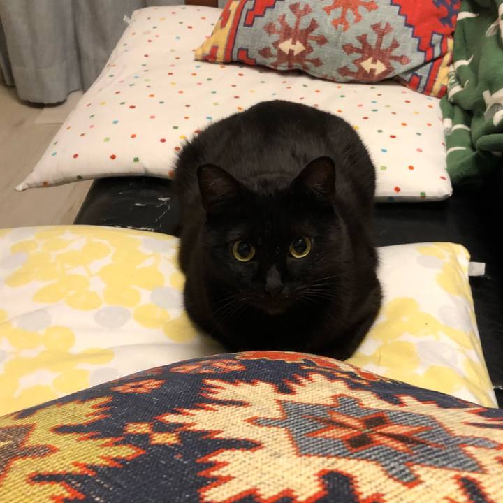 15d561f6 f683 4ff8 95dd 9fc09ec2e249 1516978910776