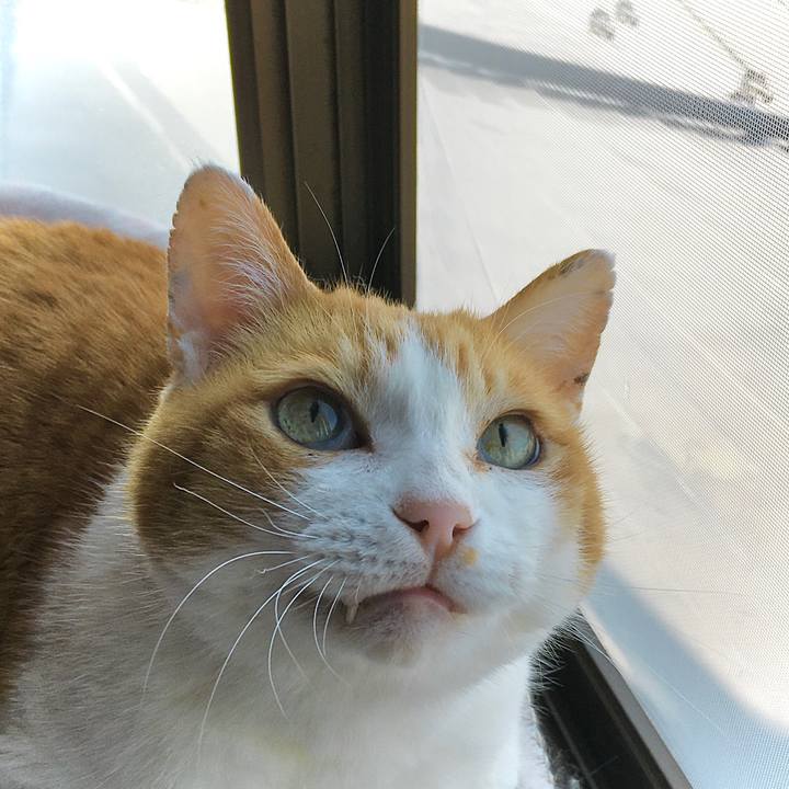 15d56603 c25a 43ed bba7 aeb0dfa263cf 1617854232364