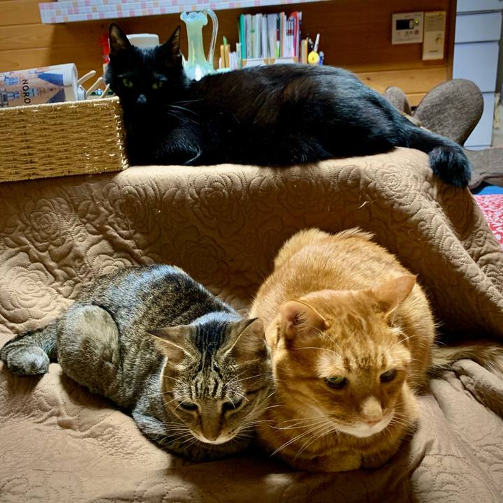 15d57677 586e 4a3b 91c5 59815c9eb54a 1619265977909