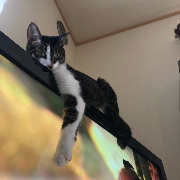 15d576ab 35f6 4950 8dbe 9c70279edb80 1587987159180