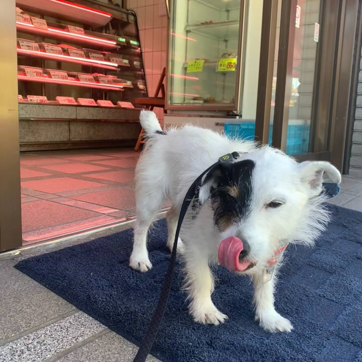 15d5a2e4 3620 438c 9f81 7dbded2711f5 1717815190016