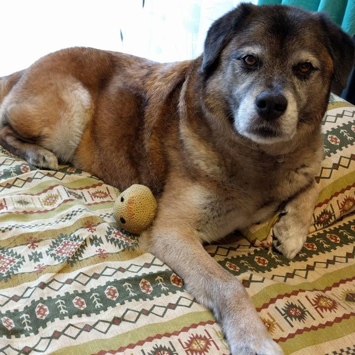 15d5cc65 1f1d 4055 9d34 9f81d641f67e 1529481898686