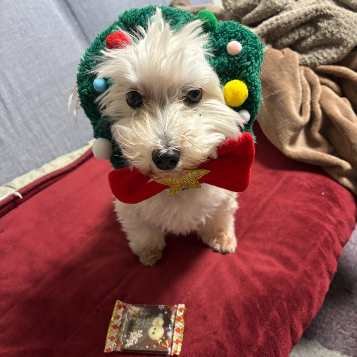 15d5deb6 7da3 4062 924b bc303bc0f171 1766580162155