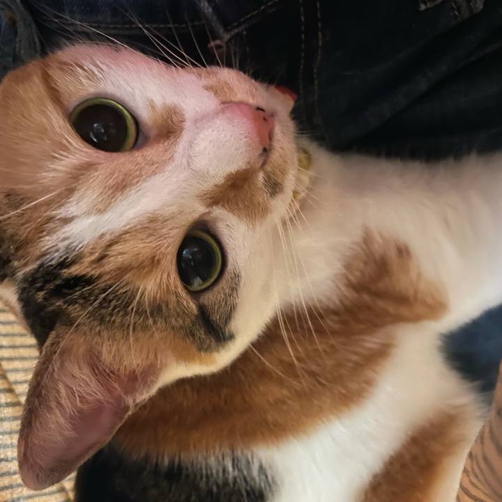 15d5e5af 79b0 4d45 b787 15e25890a658 1631612365736