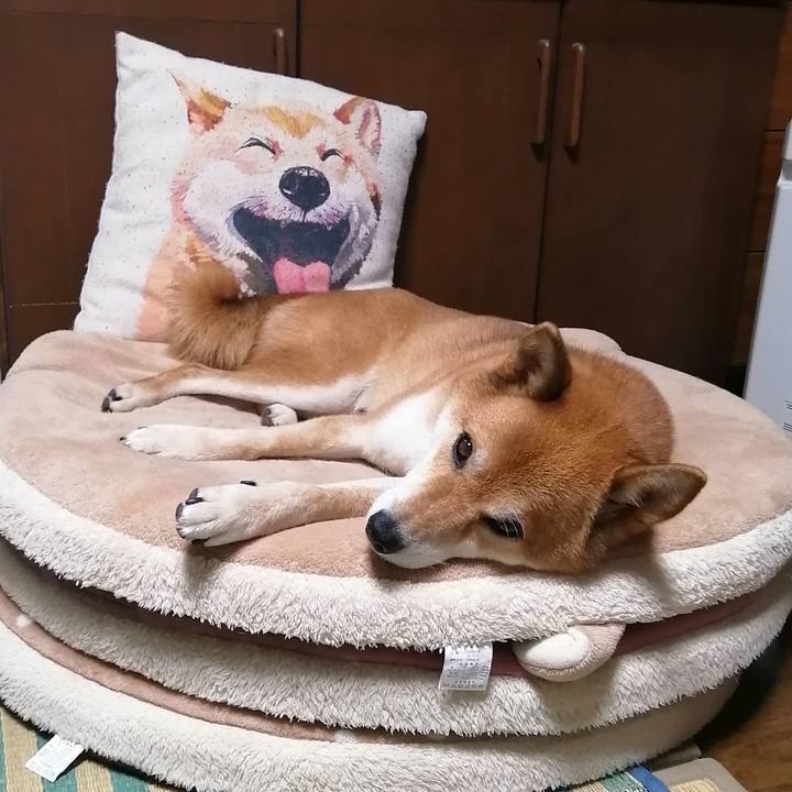 15d67345 a702 4514 bdd1 944e57b3287f 1596890680856