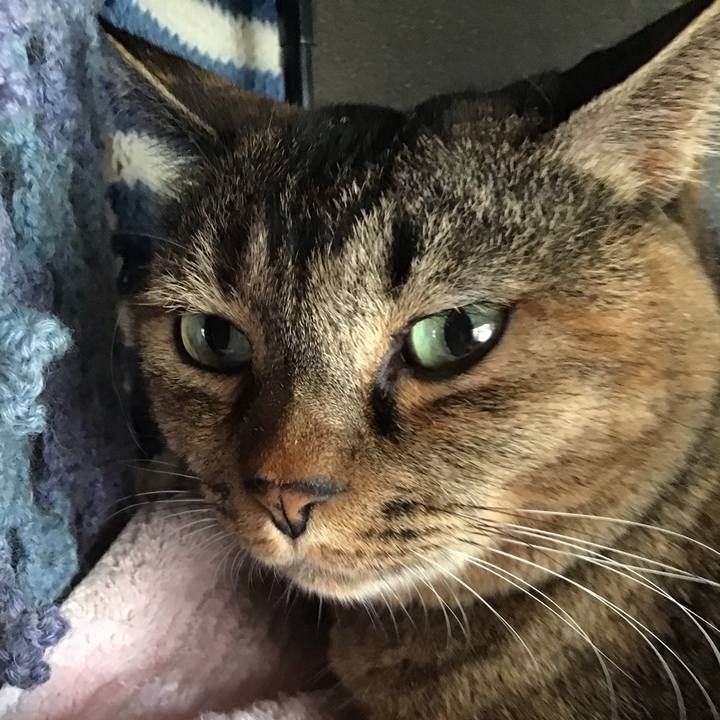 15d688ea 502b 444a 8ebb 47e6fd694f7c 1757806268237