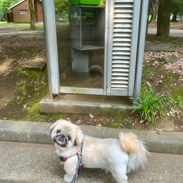 15d6949c 628d 4b8c 86ba 2e038f95a3f0 1717624400242