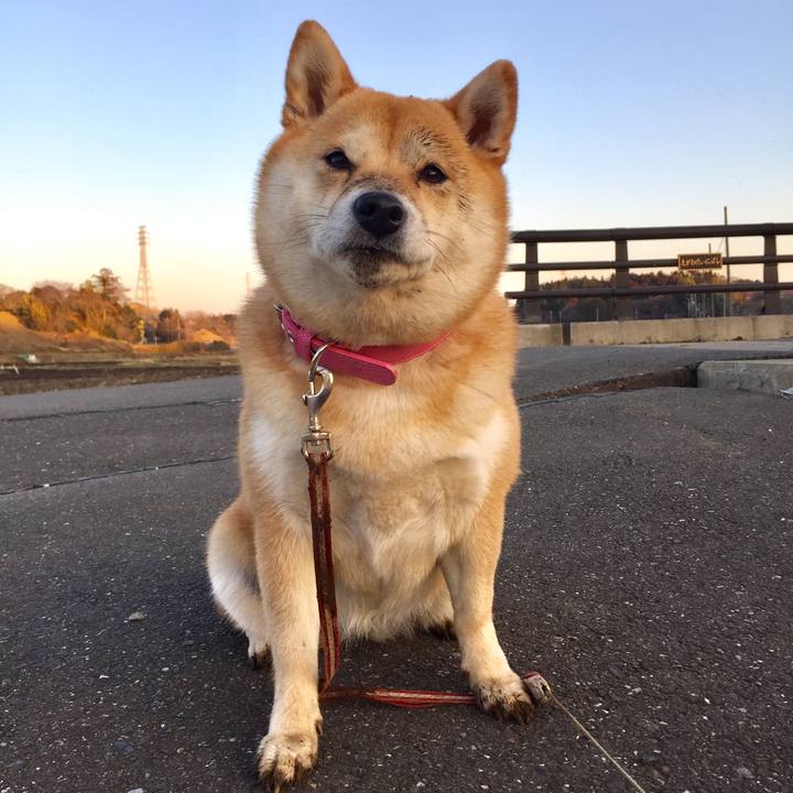 15d69cdf 1c40 4c69 9dfe 2f46a7127ceb 1520311112753