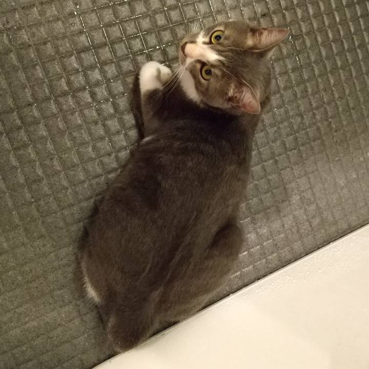 15d6cf49 9968 42ce aec6 206b4a1afaf1 1597401156845