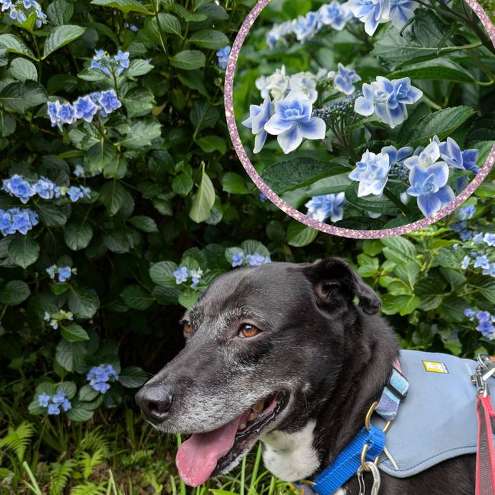 15d6e97c 9289 460b 874d 7fdd988a4060 1749690688098