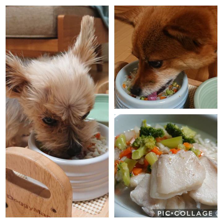 15d73d4a 8cf0 4f81 b5c7 ca97bef529ca 1584875706170