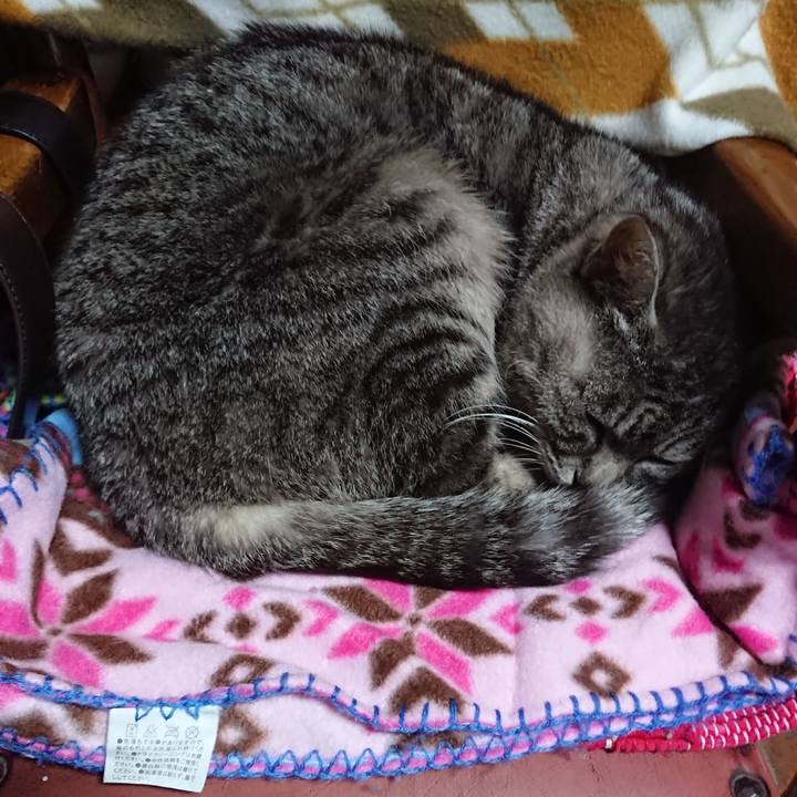 15d74438 1472 4077 817d f9a6614d0ec7 1553118768123