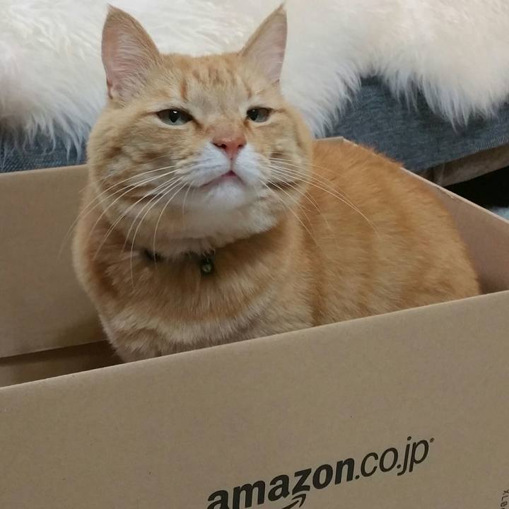 15d78291 ad11 4a59 bfbc 810805c753f4 1523400917970