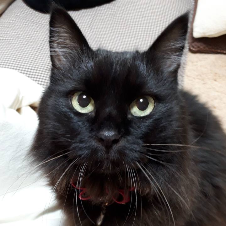 15d7b0b7 938b 4a77 bae7 75fcde1c6dfa 1542321113348