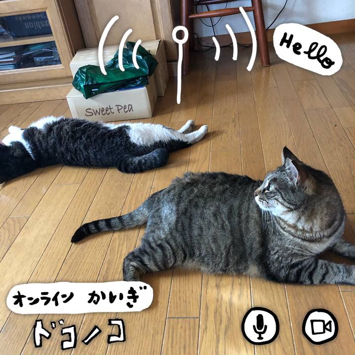 15d7c063 a8df 4bb4 b194 725020d9e5fe 1590843061107