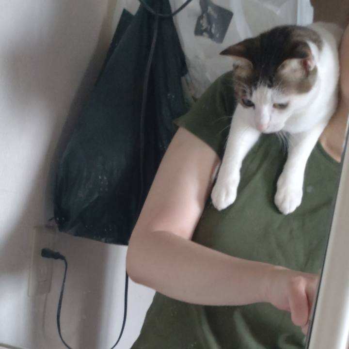 15d7c41a d970 43e9 8c4f 0835dc805eea 1690067907915