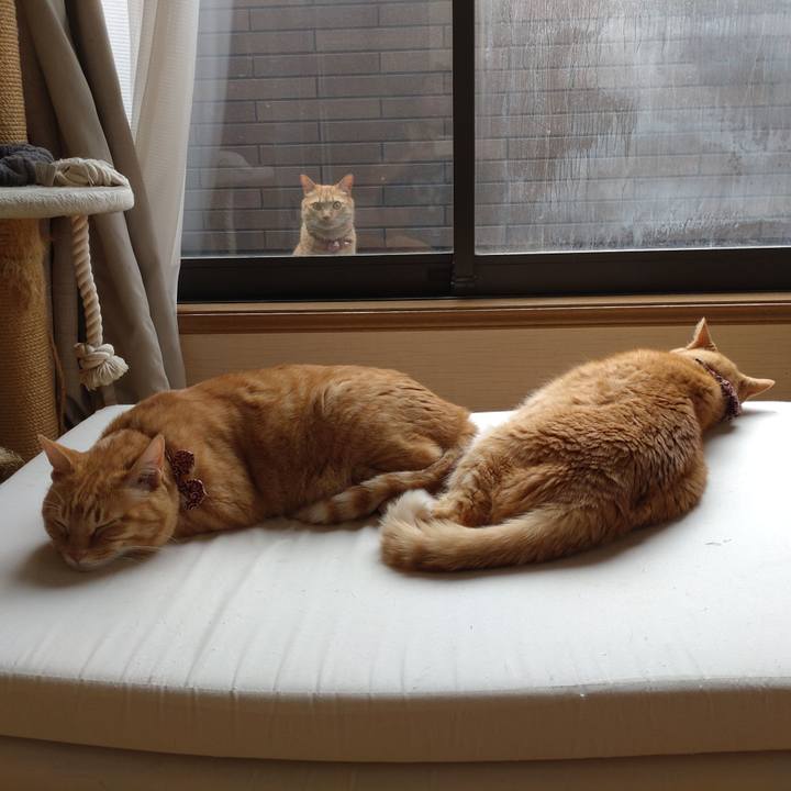 15d7c720 c23d 4908 9df8 0975d21bdb14 1651364779706